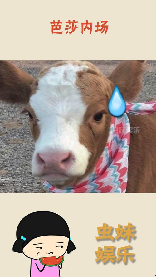 娱乐吃瓜酱本鼠,揭秘娱乐圈那些不为人知的幕后故事 第1张 娱乐吃瓜酱本鼠,揭秘娱乐圈那些不为人知的幕后故事 第1张